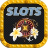 Slot machines of Holiday Picks - Mountains or Beac
