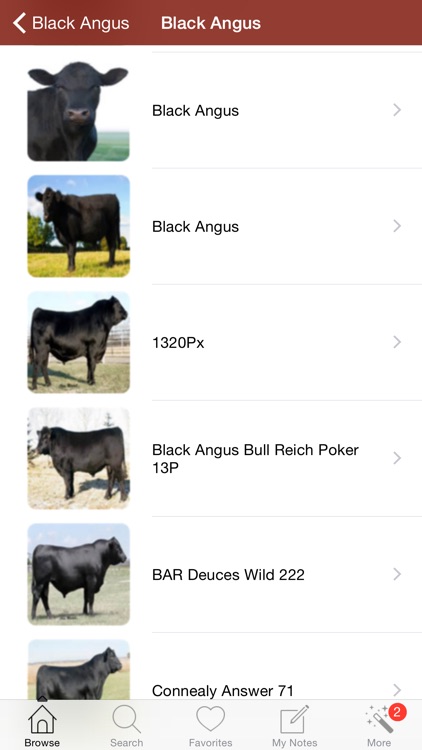 1500 Cattle Dictionary,Breeds,Vet