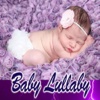 Baby Sweet Night Lullabies Collection-Bed Time Fun
