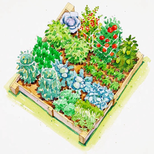 Companion Planting 101-Successful Gardening Guide icon