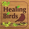 Healing Birds for iPhone