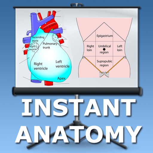 Anatomy Lectures Thorax and Abdomen Icon