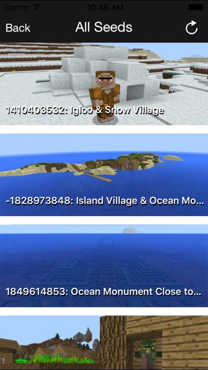 Multiplayer Servers for Minecraft Pocket Edition + screenshot-4