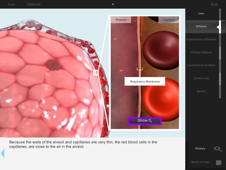 IC Diffusion