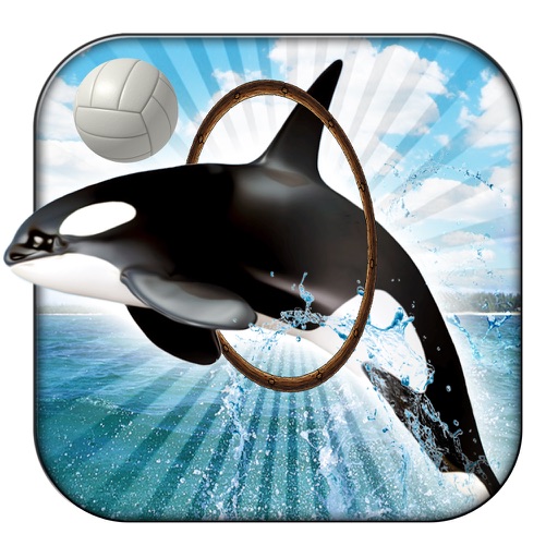Dolphin Circus Show - Hungry Sea Animal Stunt Sim Icon