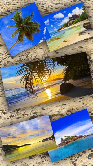 Tropical Jigsaw Puzzles - Imagine Your V