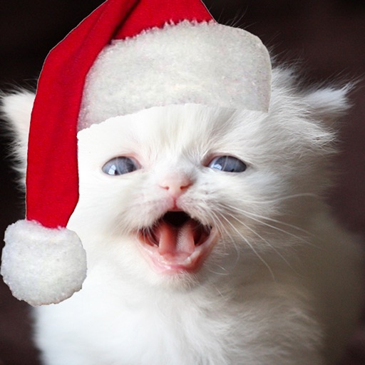 A Talking Christmas Kitten for iPhone Icon