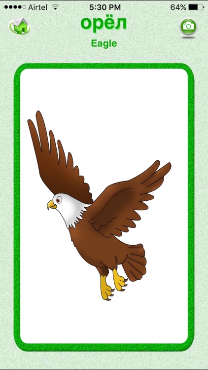 Flashcards Russian Lesson