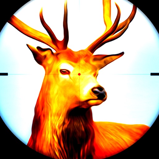 Animal Hunting:This is The Real Target Today Icon