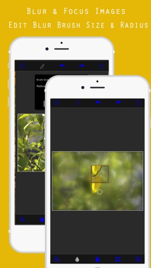 Photo Blur Background Editor Pro - Quick Blur(圖1)-速報App