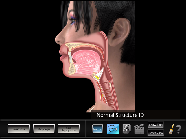 Oral Disorders(圖5)-速報App