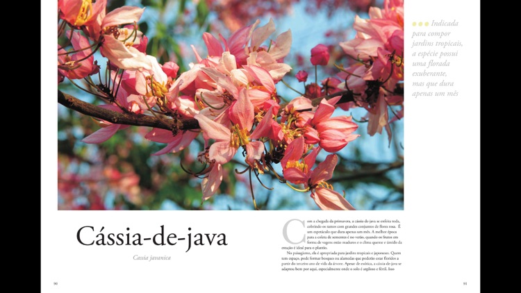 Plantas Ornamentais - Volume 2