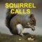 Squirrel Hunting Calls HD