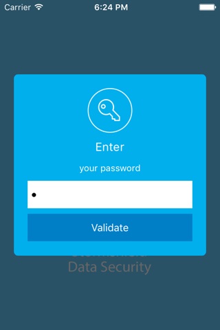 Stormshield Data Security screenshot 2