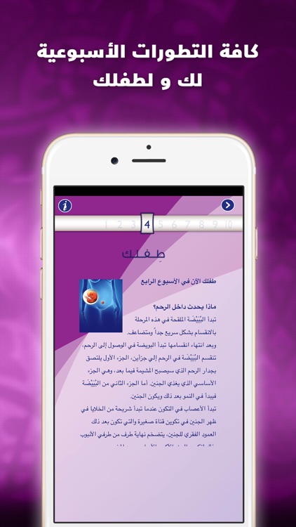 انت والحمل دليل الام الحامل
