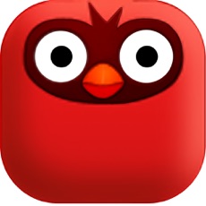 Activities of Flappy Pipi Bird Go