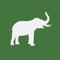 The International Elephant Foundation (IEF) is a non-profit 501(c)(3) corporation of individuals and institutions dedicated to the conservation of African and Asian Elephants worldwide