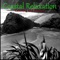 Adult Coloring Book - Coastal Relaxation