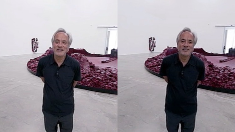 AnishKapoor3D360