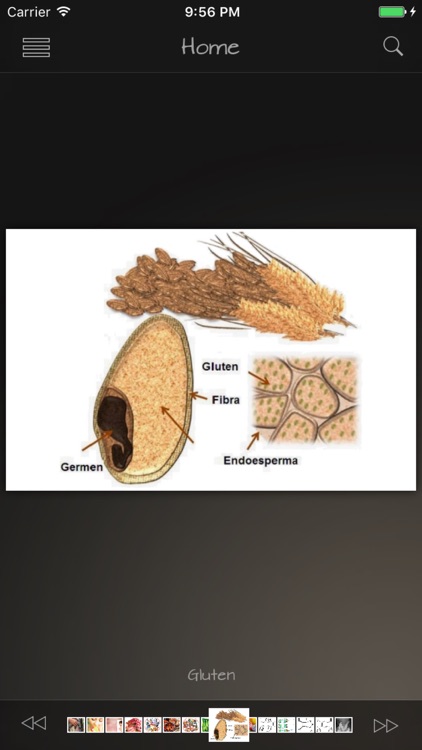 List of Allergens Details