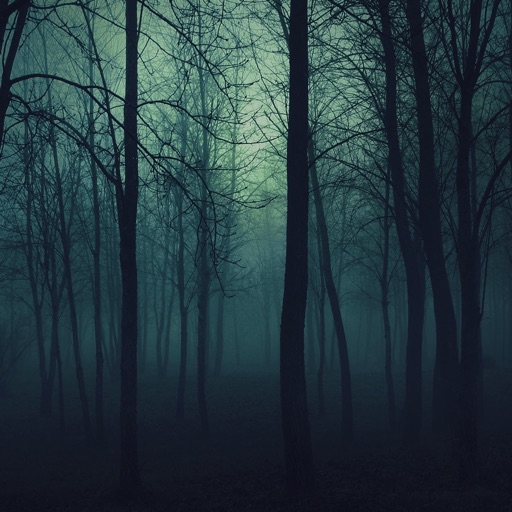 Dark Forest Wallpapers HD-Quotes and Art Pictures icon