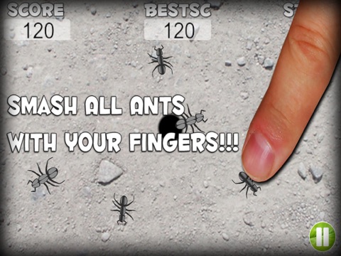 Ant Destroyer HD screenshot 2