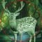Wild Hunter-The Deer sniper Hunt-ing Challenge2017