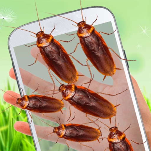 Cockroach on hand prank: funny joke Icon