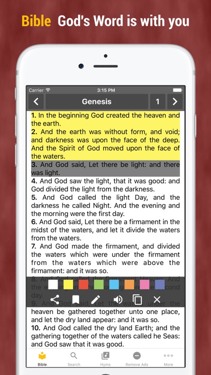 Bible KJV