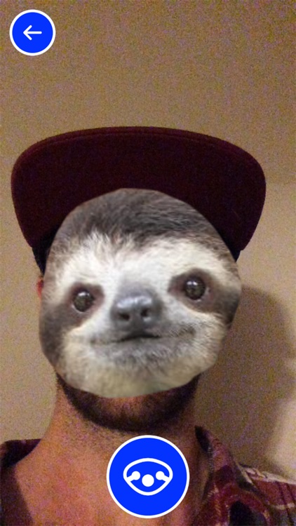 Slothie