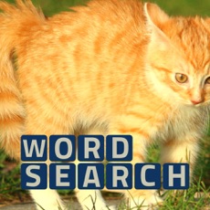 Activities of Wordsearch Revealer Kittens
