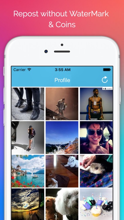 IG Catch Video multiple Albums