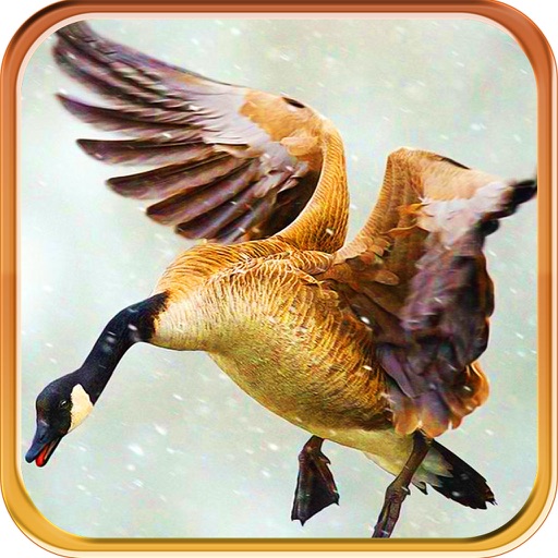 Creepy Duck Hunting Island - Unlimited Sniper iOS App