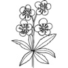 Flower Stickers (Black and White)