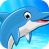 Fancy Wild Dolphin in Circus Water Aquarium Shows
