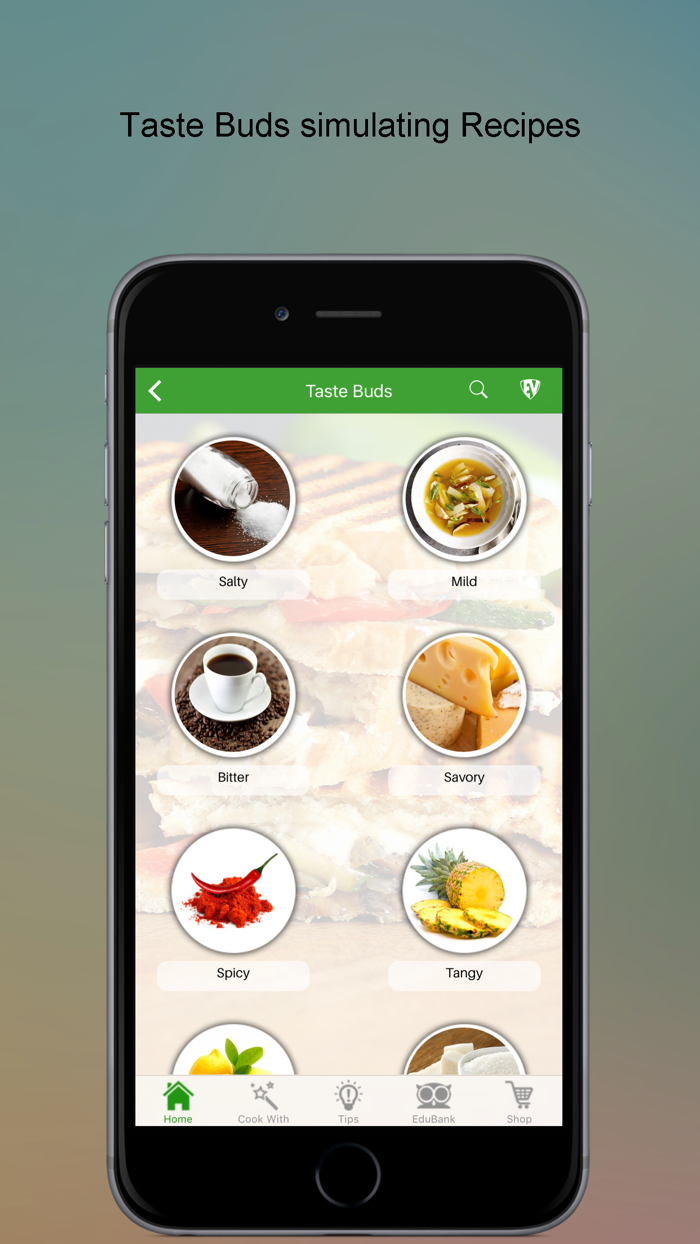 Vegetarian Recipes