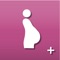 ***** Follow every step of your pregnancy with the gestation wheel *****