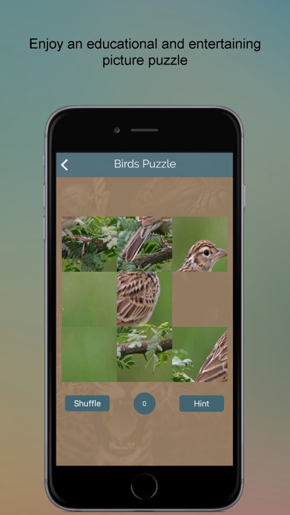 Perching Bird Dictionary screenshot-3