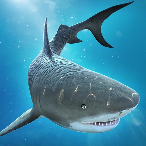 Shark Escape . Hungry Attack Dash Fever Game Pro icon