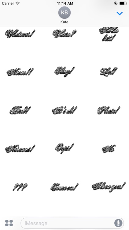 Expressions Calligraphy Stickers screenshot-4