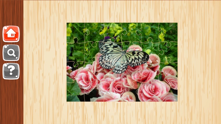 Butterfly Puzzles - Jigsaw Puzzle Game For Kids screenshot-3