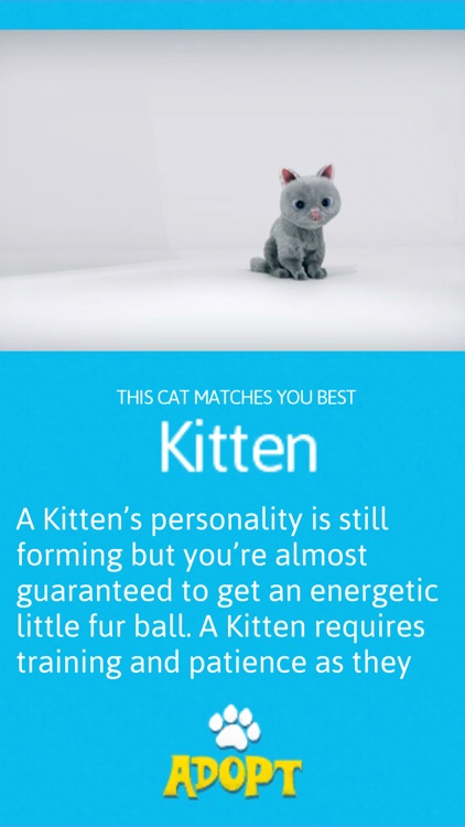 Kitty Adoption
