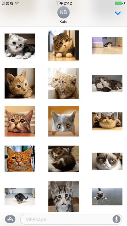Small Kitty screenshot-3