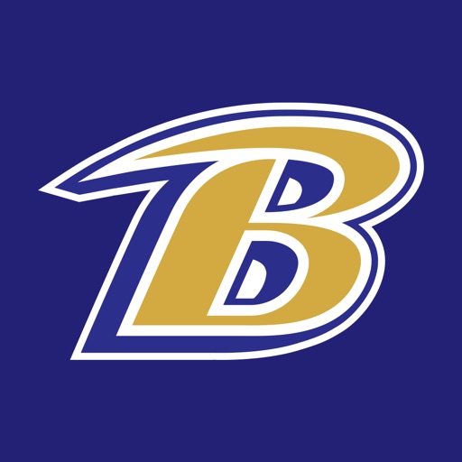Baltimore Ravens: Team icon
