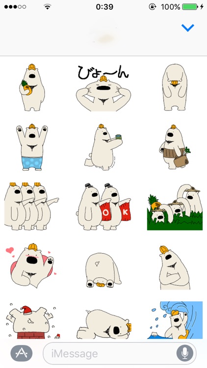 Polar Bear, Oneday