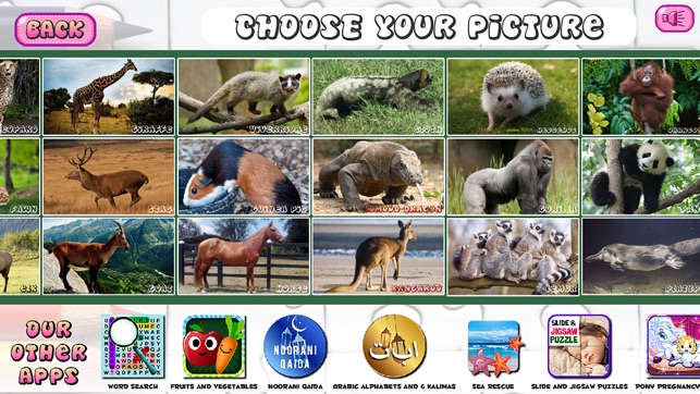 Puzzles of Animals Free(圖3)-速報App