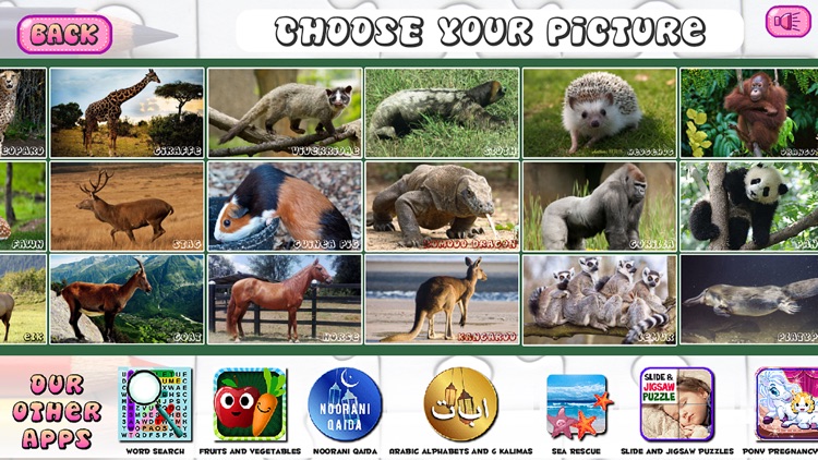 Puzzles of Animals Free