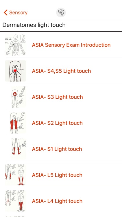 PhysioU: NeuroExam screenshot-4