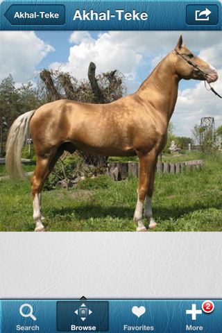 1250 Horse Breeds + Dictionary screenshot 2