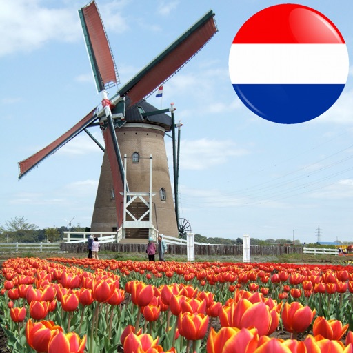 In Sight - Netherlands icon